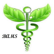 BAMS
